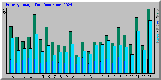 Hourly usage for December 2024